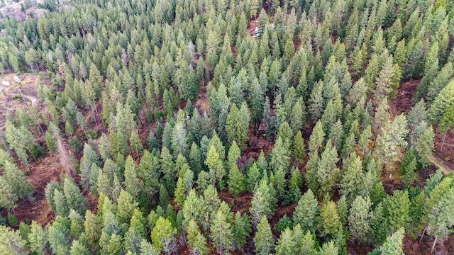 32927 Hellroaring Rd, Polson, MT 59860 - bird's eye view of a forest