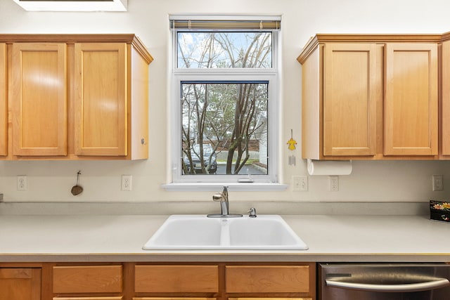 kitchen with dishwasher and sink