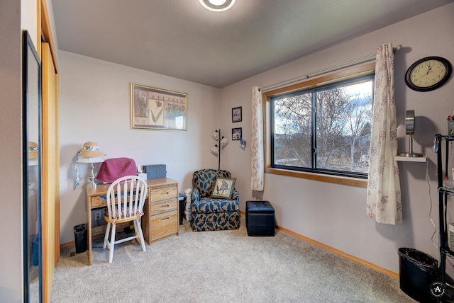 view of carpeted home office