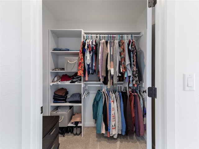 4 Sapphire Way, Sheridan, MT 59749 - view of closet