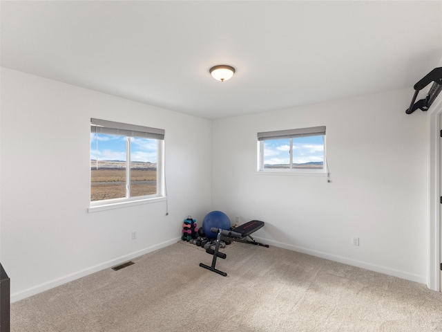 4 Sapphire Way, Sheridan, MT 59749 - workout area with carpet floors and baseboards
