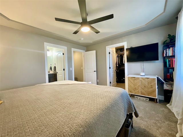 carpeted bedroom with ceiling fan, a walk in closet, connected bathroom, and a closet