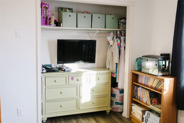 view of closet