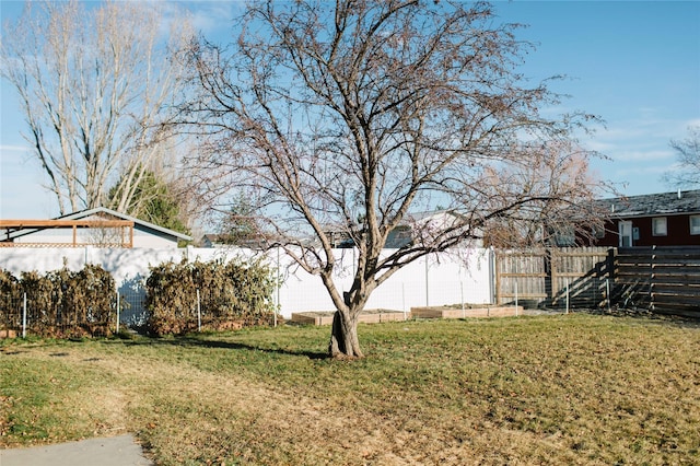 view of yard with a fenced backyard