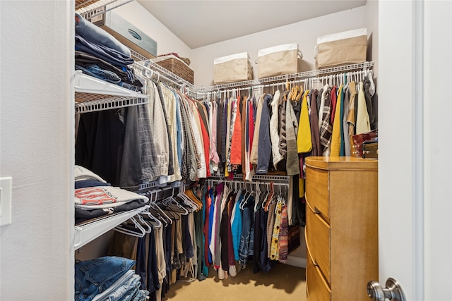 spacious closet with carpet