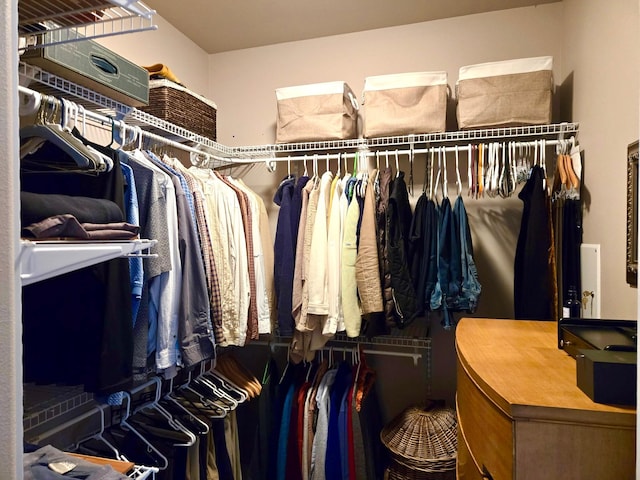 659 Copperwood Ct, Whitefish, MT 59937 - view of walk in closet