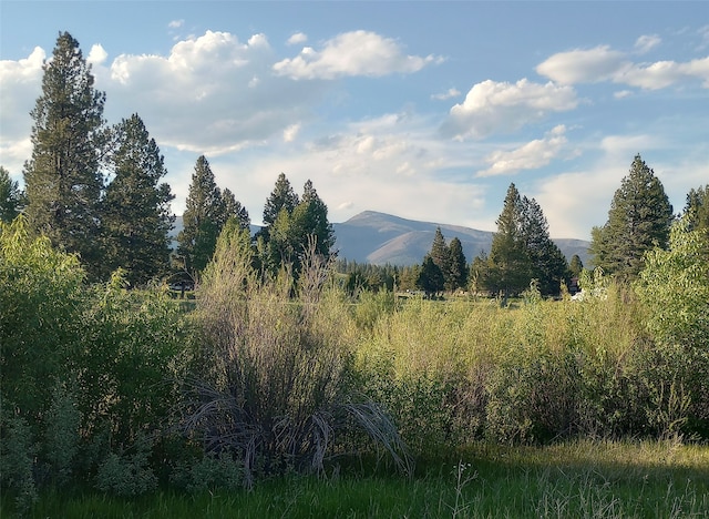 view of mountain feature