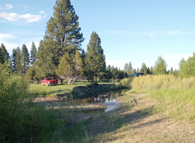 view of yard with a water view