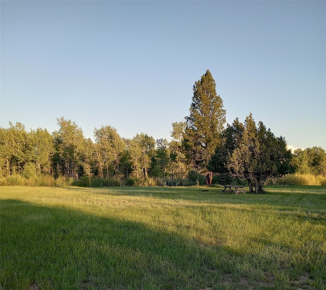 view of local wilderness