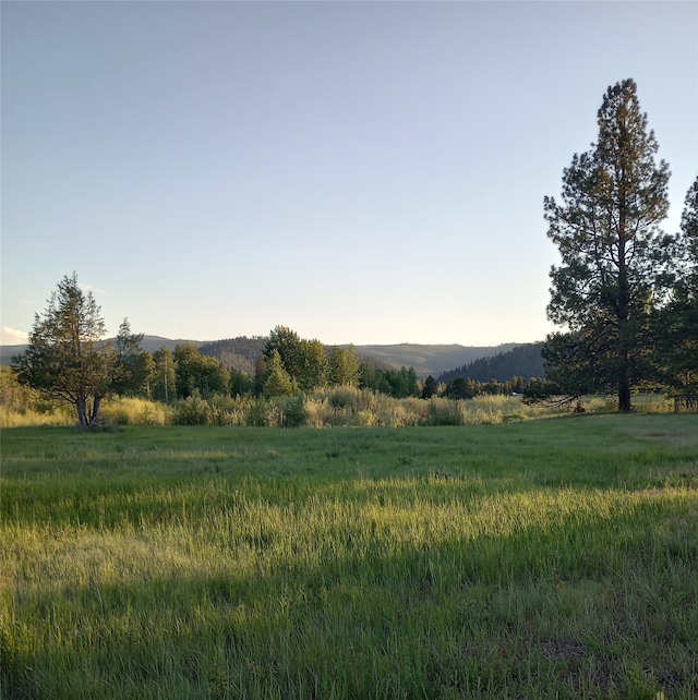 view of landscape with a mountain view and a rural view