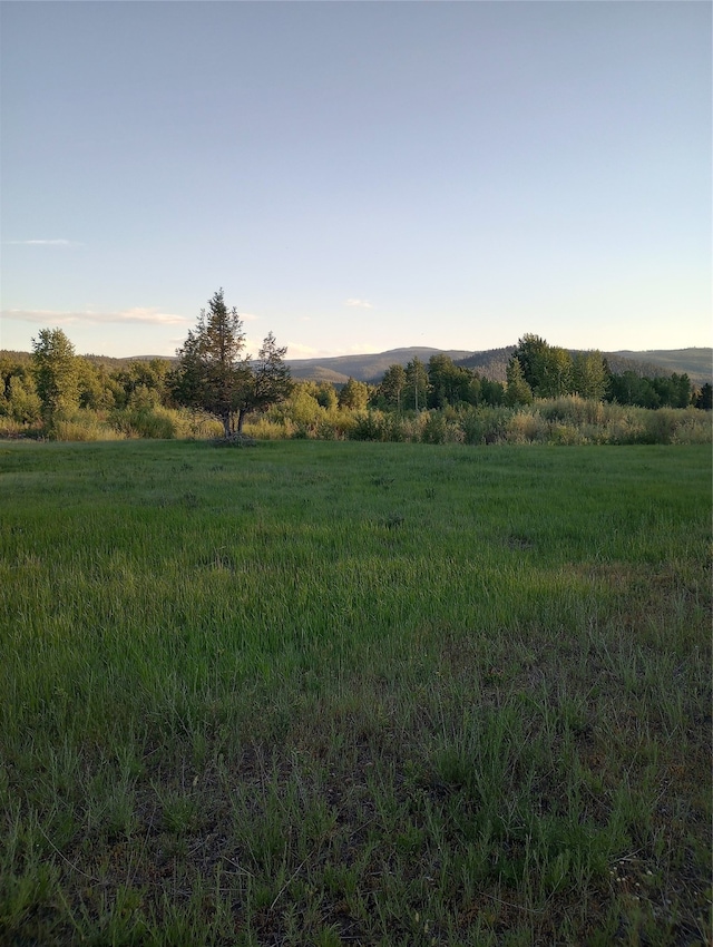 view of local wilderness featuring a rural view