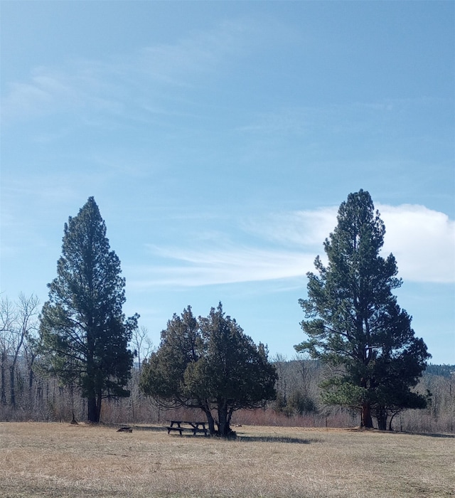 view of local wilderness with a rural view