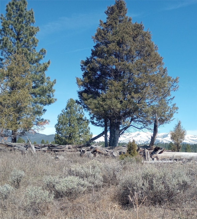 view of nature featuring a mountain view