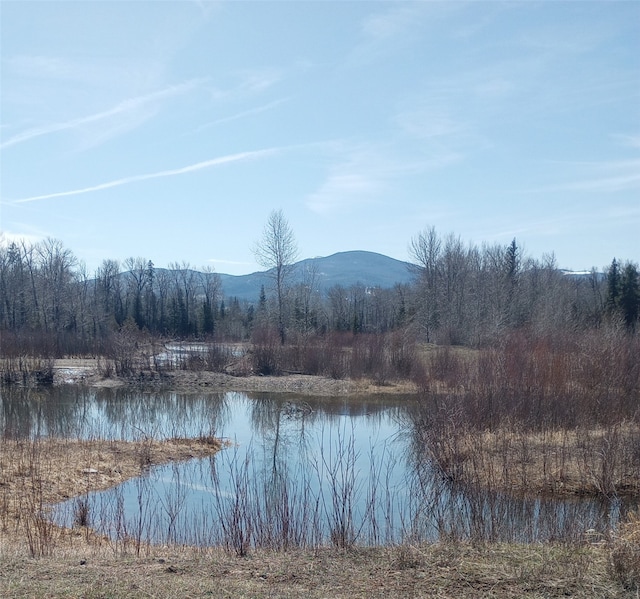 water view with a mountain view