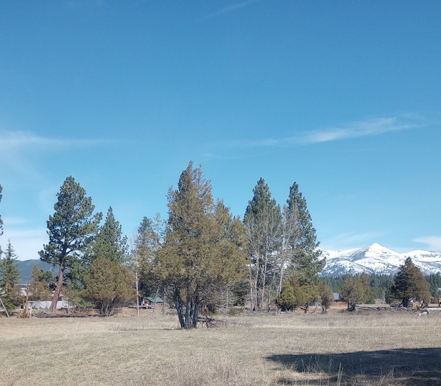 view of yard featuring a mountain view and a rural view