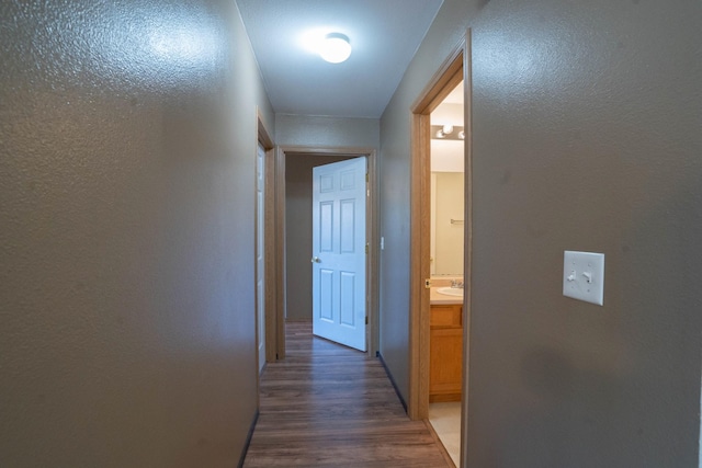 corridor featuring sink and dark wood-type flooring