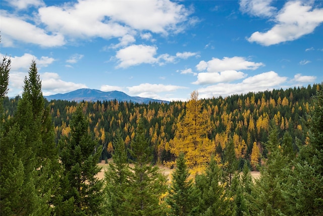 view of mountain feature