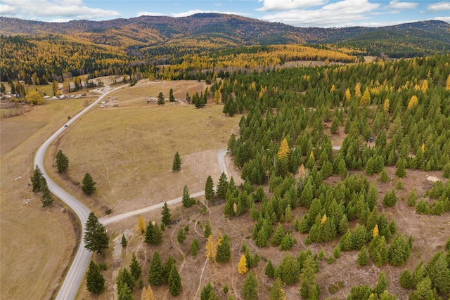 drone / aerial view with a mountain view