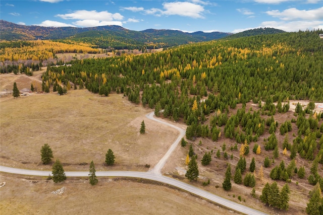 birds eye view of property with a mountain view