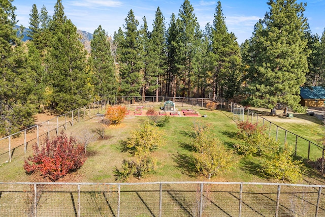 view of yard with a rural view