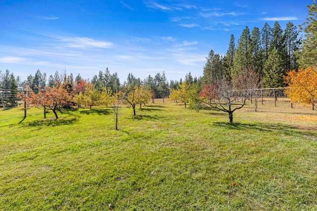 view of yard with a rural view