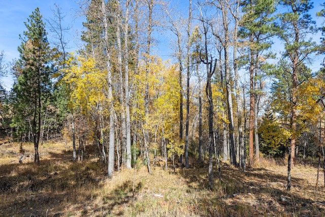 view of landscape