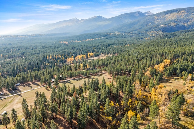 drone / aerial view with a mountain view