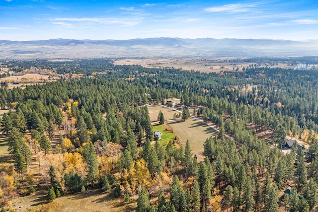 drone / aerial view featuring a mountain view