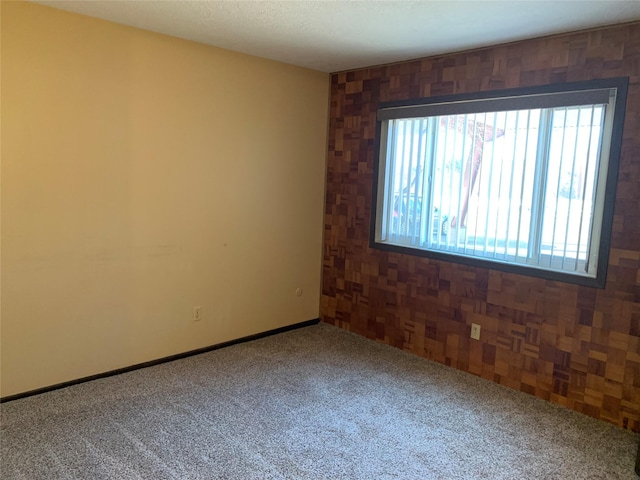 spare room with carpet flooring