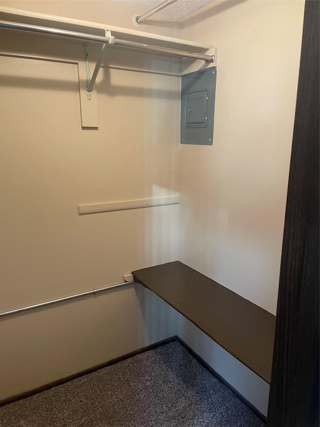 spacious closet featuring electric panel