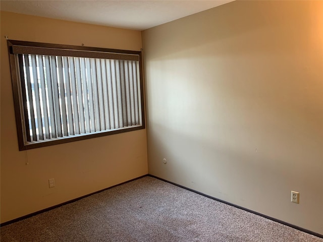 unfurnished room with carpet flooring