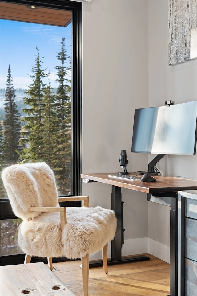 1148 Glades Dr, Whitefish, MT 59937 - office space with built in desk, a healthy amount of sunlight, and light wood-type flooring