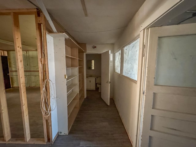 hall with wood-type flooring