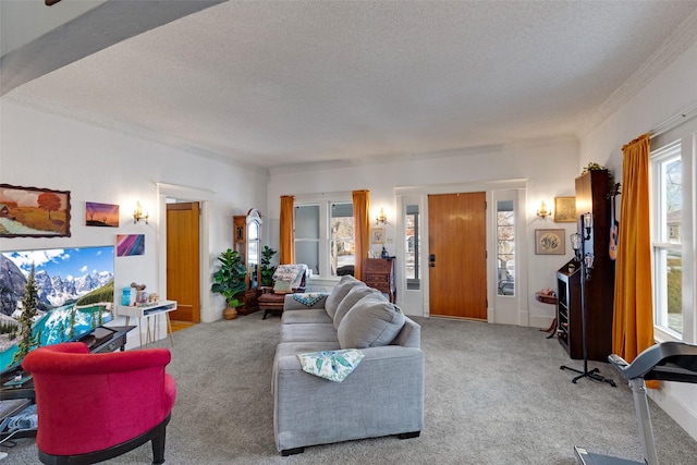 carpeted living room with crown molding and a textured ceiling