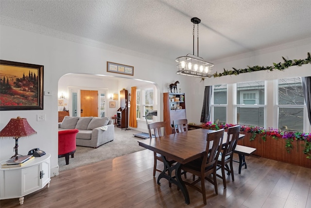 dining room featuring wood-type flooring, a textured ceiling, and crown molding