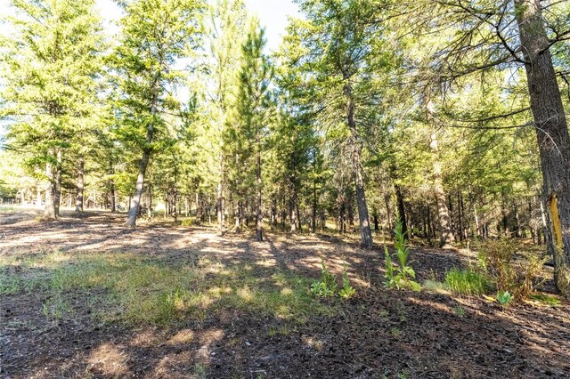 Listing photo 2 for 14297 Caddisfly Ct, Clinton MT 59825