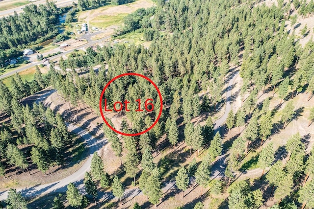 LOT16 Stonefly Rd, Clinton MT, 59825 land for sale