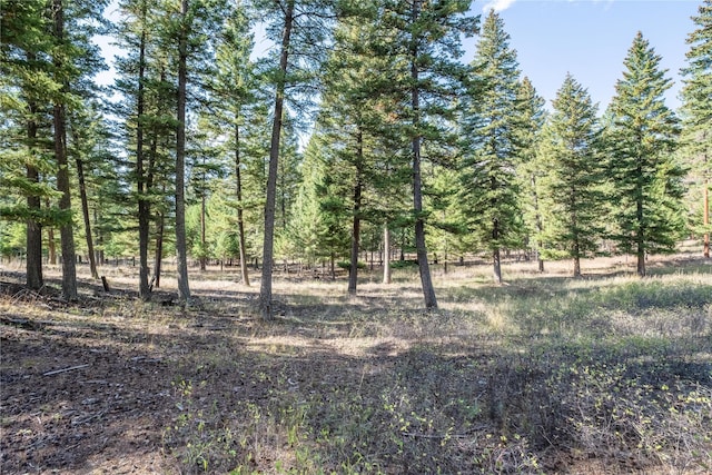 Listing photo 2 for LOT17 Caddisfly Ct, Clinton MT 59825