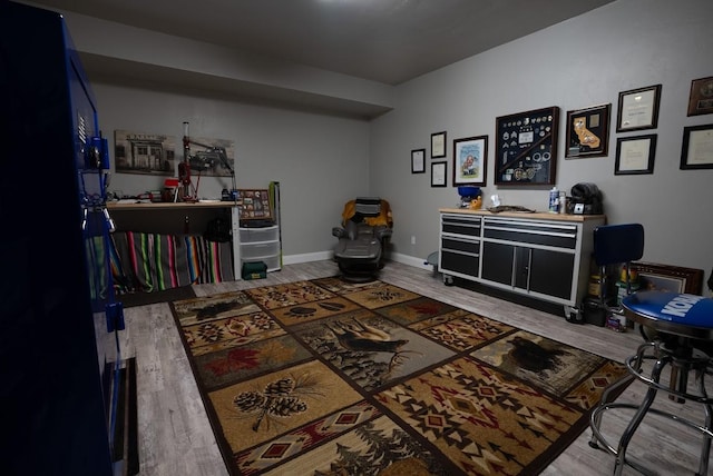 interior space featuring wood-type flooring