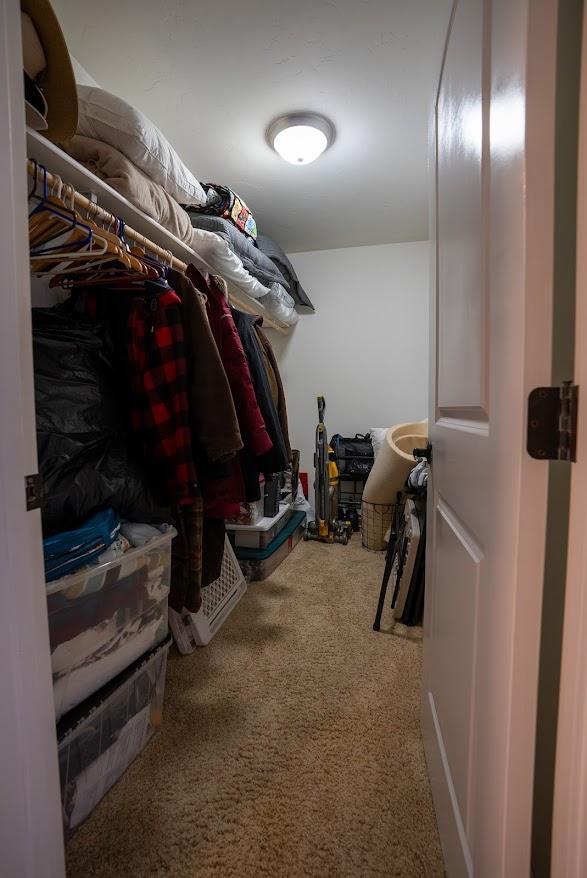 walk in closet with carpet flooring