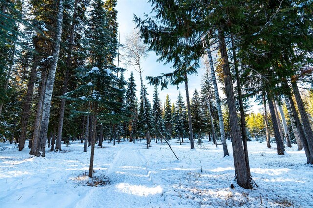 view of snowy landscape