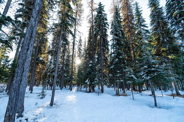 view of snowy view