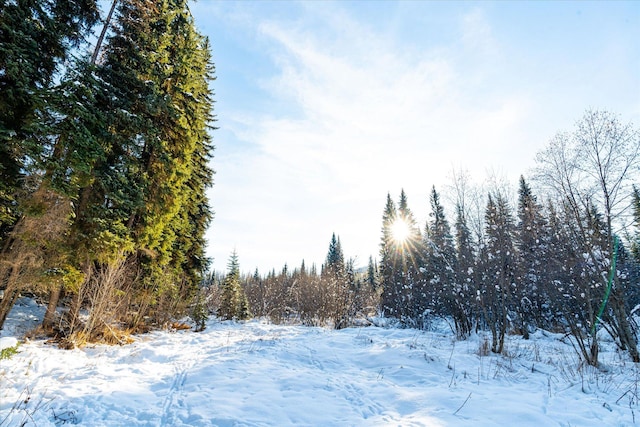 view of snowy landscape