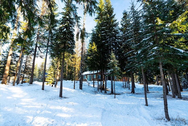 view of yard covered in snow