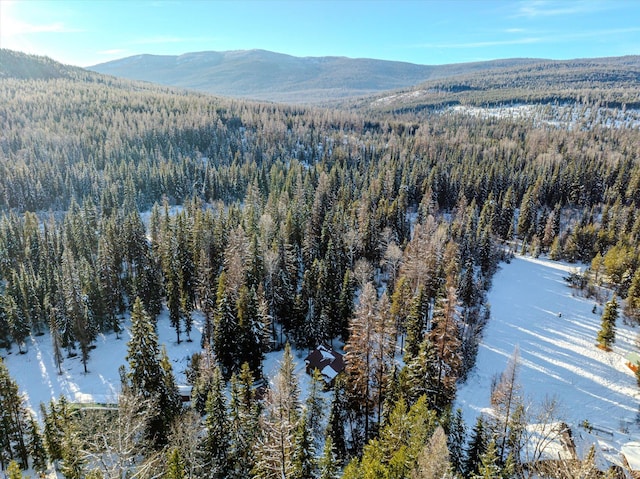 drone / aerial view with a water and mountain view