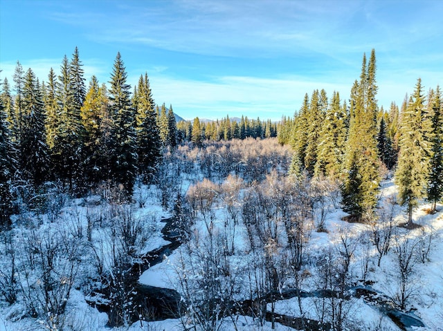 view of snowy view