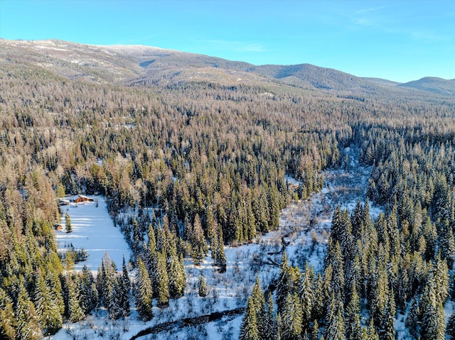 birds eye view of property featuring a mountain view