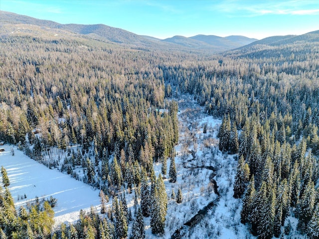 snowy aerial view with a mountain view