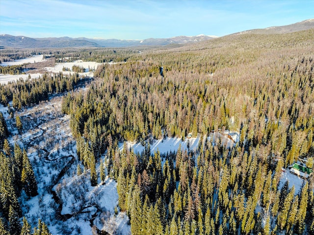 bird's eye view featuring a mountain view