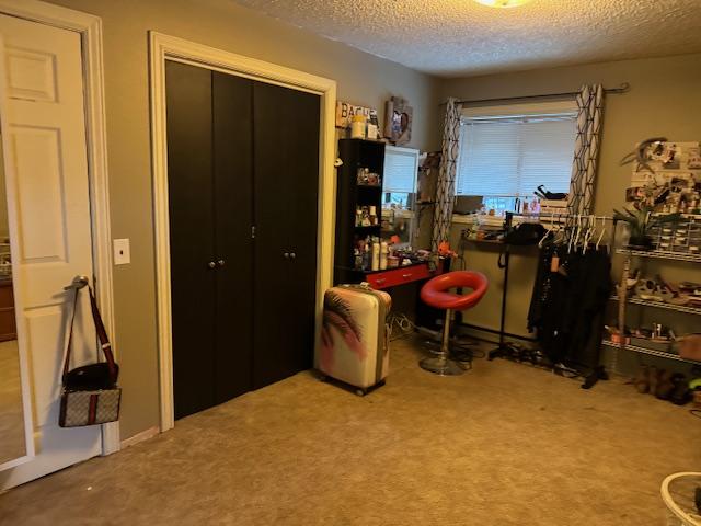 interior space featuring carpet flooring and a textured ceiling